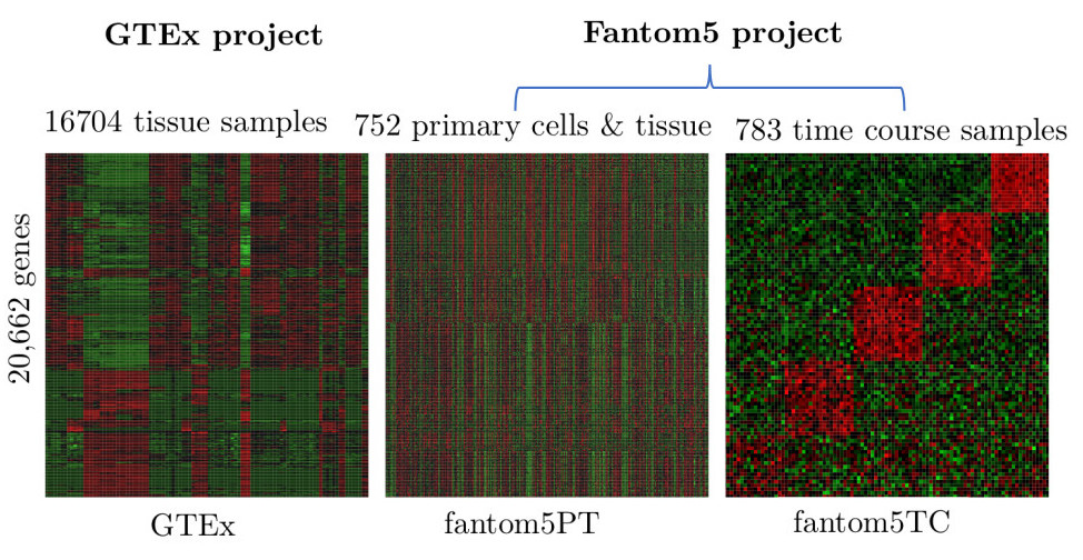 Gene expression profile differences